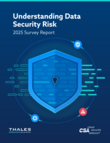 Understanding Data Security Risk Survey Report 2025